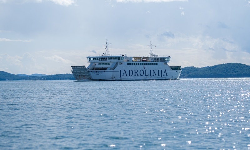 Juraj Dalmatinac Picture 4