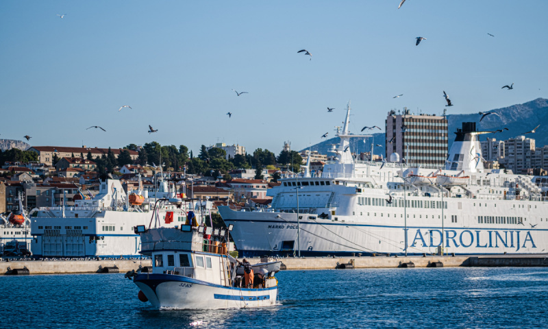 Marko Polo Picture 2